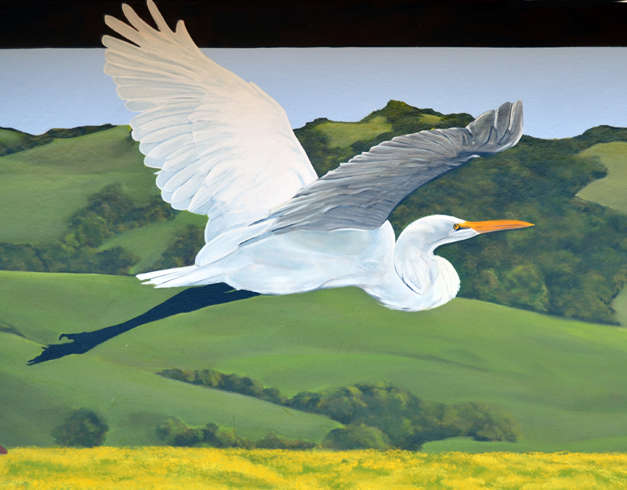 petalumamural mural