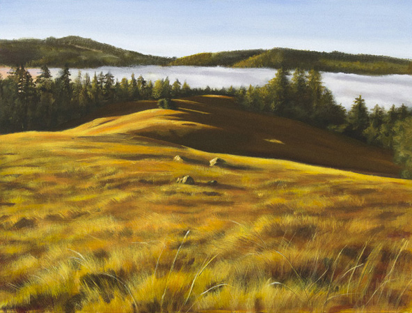 grass 1