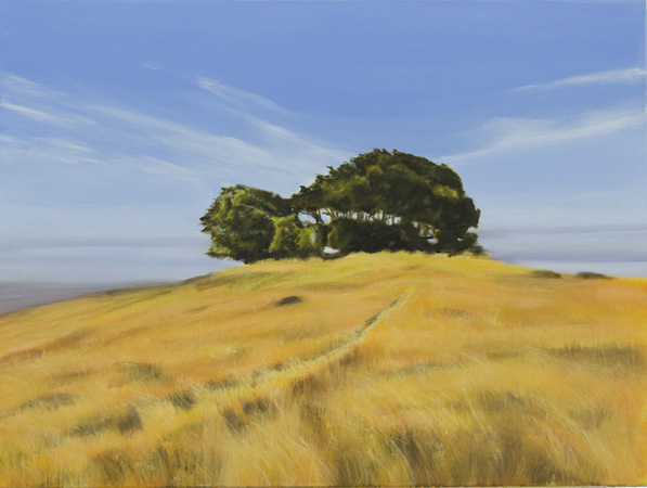 grass 4
