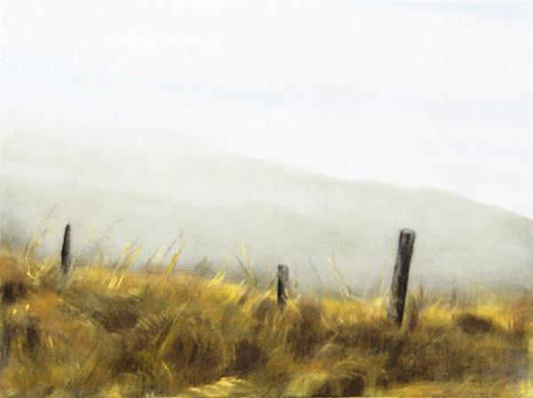grass 5