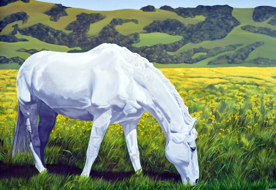petalumamural mural