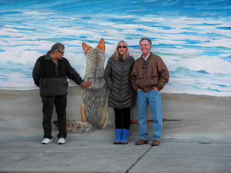 coyote touch